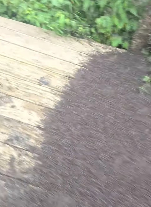 Şehri sinekler bastı: Yürümek imkansız, kent sakinleri sabırsız - Resim : 2