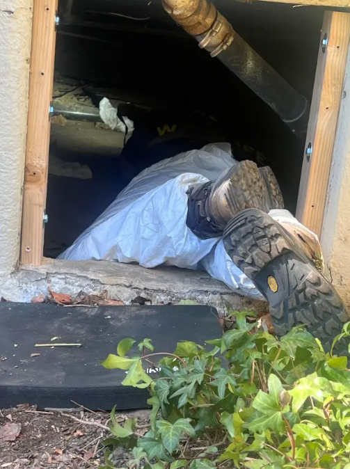 Los Angeles yangınlarından sonra evine döndü, sürprizle karşılaştı - Resim : 1