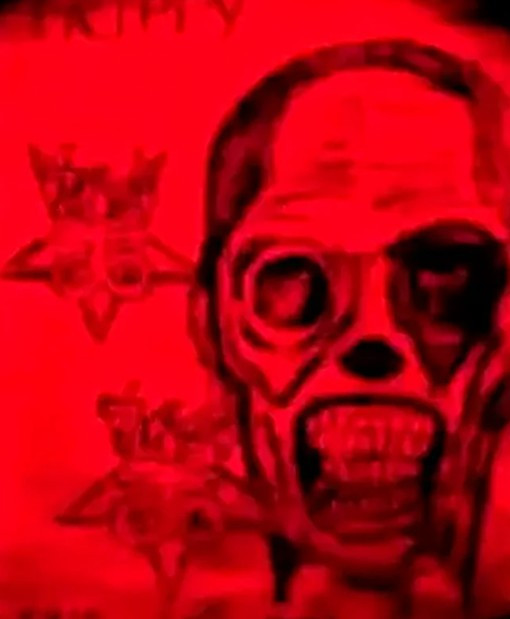 '764' kâbusu: Çocukları hedef alan siber suç örgütü - Resim : 1