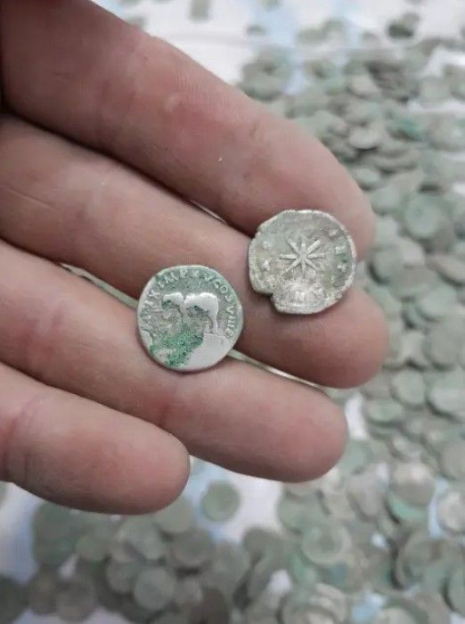 Doğa yürüyüşünde muhteşem keşif: Tarlada hazine buldu - Resim: 7