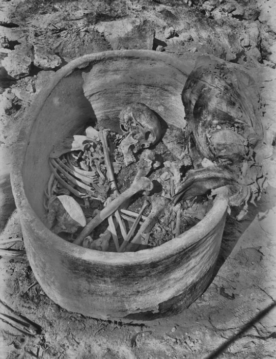 Bir ilke imza attılar, buldukları şaşırttı: 4500 yıllık Antik Mısırlının DNA'sı çıkarıldı - Resim : 1