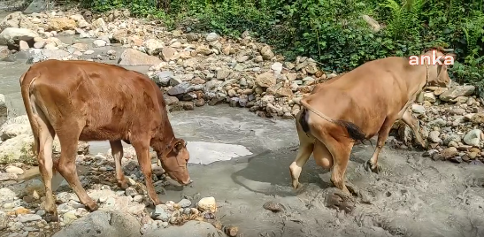 AKP'li vekilin zehir saçan madeni kamerada - Resim : 3
