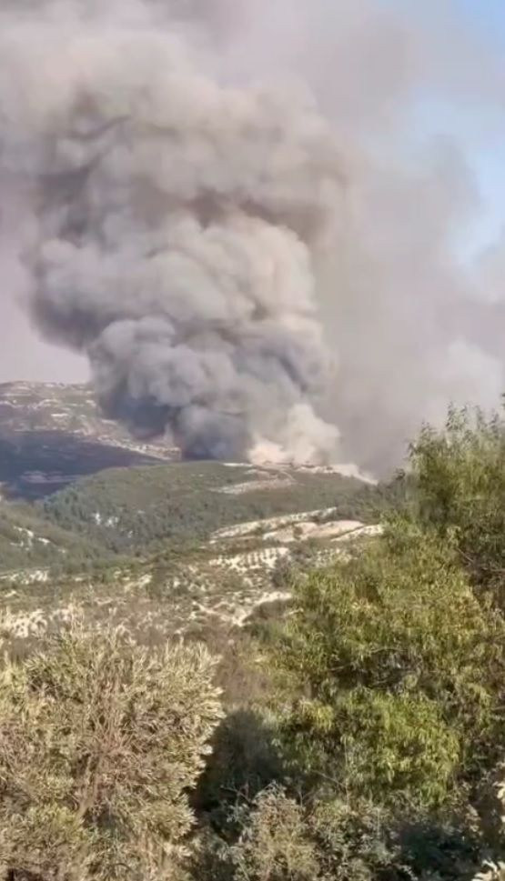 Bir orman yangını da Hatay'da - Resim: 2