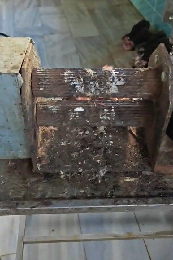 Çanakkale'de mide bulandıran görüntüler - Resim: 5