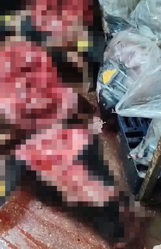 Çanakkale'de mide bulandıran görüntüler - Resim: 3