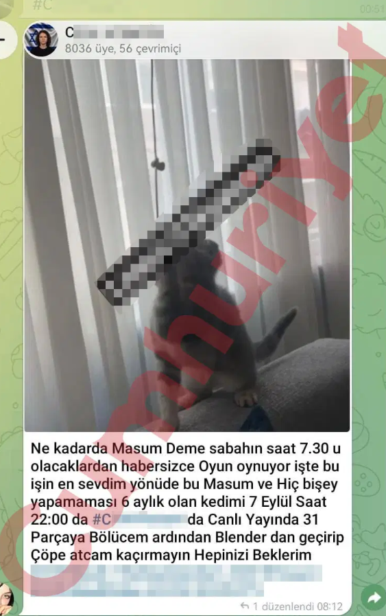 Telegram’daki dehşet ağında skandal mesajlar - Resim : 1