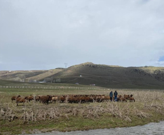 120 bin lira maaş teklif etti, kabul eden çıkmadı