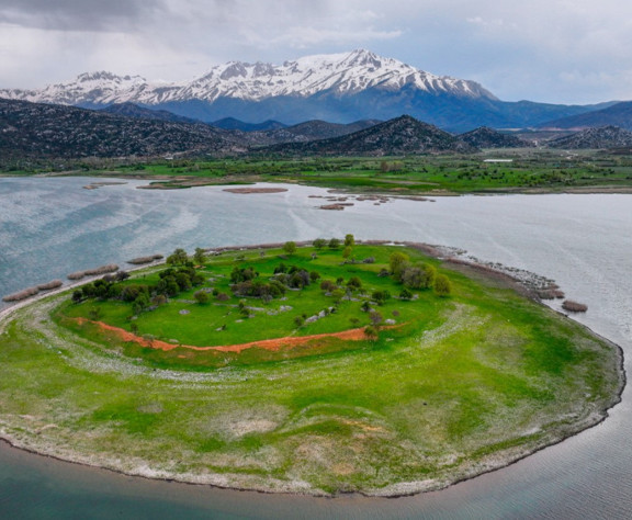 1,5 aydır kendi haline bıraktı: Küçükbaş hayvanları masrafsız büyüyor