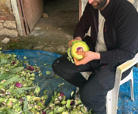 Enginar soyup 240 bin lira kazanıyorlar
