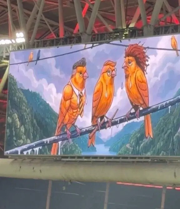 Galatasaray'dan Fenerbahçe'ye olay göndermeler: Kanarya terbiyecisi - Resim : 2