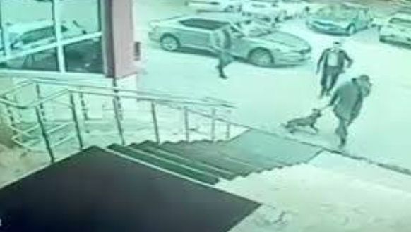 Köpek tekmeleyen kaymakama soruşturma. Görüntüler pes dedirtti - Resim : 1