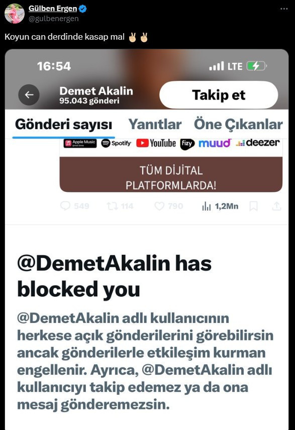 Demet Akalın ile Gülben Ergen sosyal medyada birbirine girdi - Resim : 1