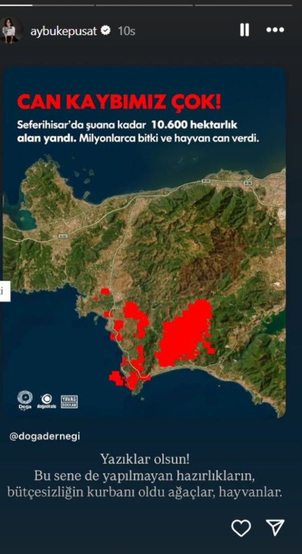 Ünlüler orman yangınlarına isyan etti - Resim: 5