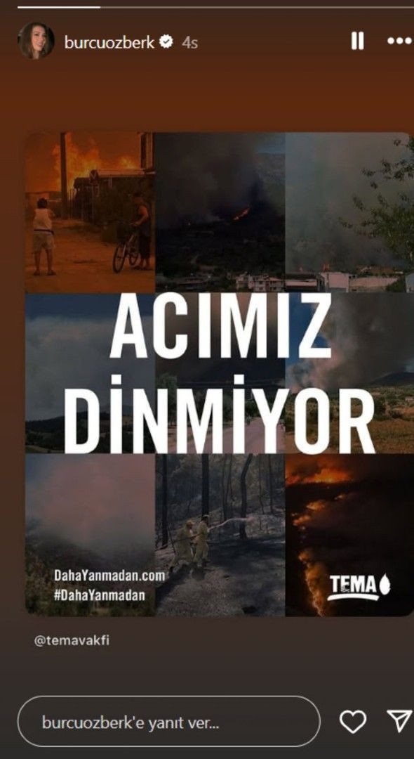 Ünlüler orman yangınlarına isyan etti - Resim: 11