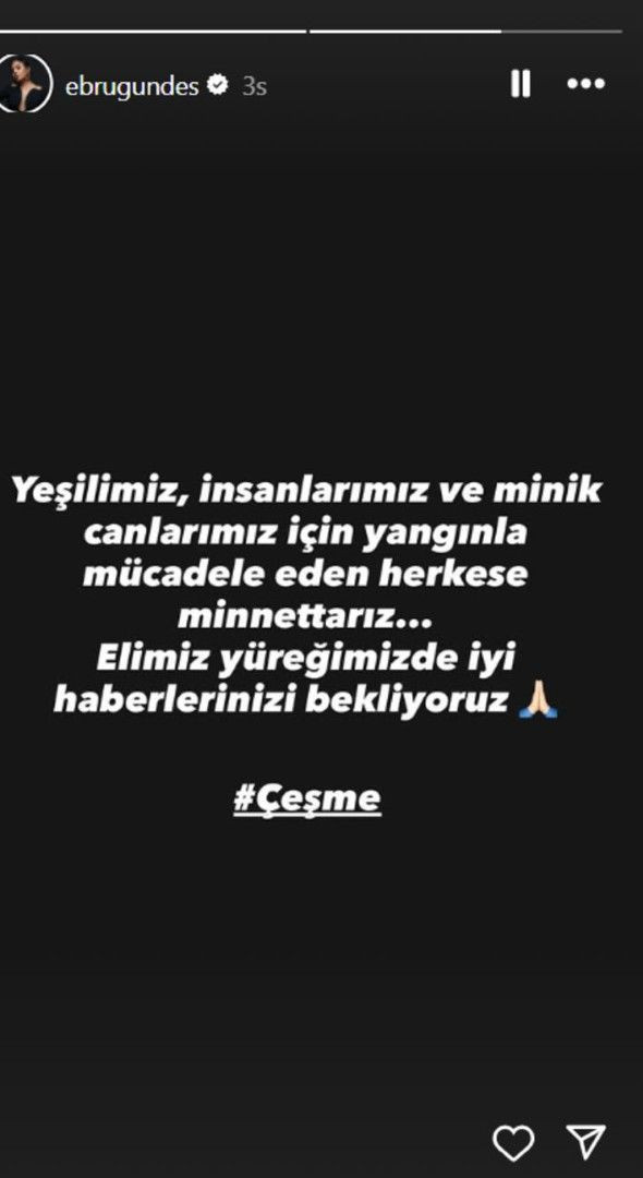 Ünlüler orman yangınlarına isyan etti - Resim: 6