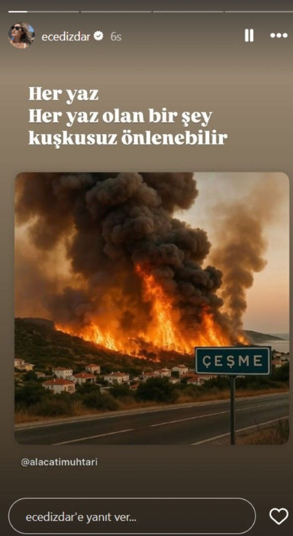 Ünlüler orman yangınlarına isyan etti - Resim: 12