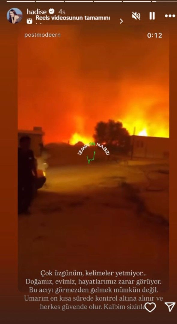 Ünlüler orman yangınlarına isyan etti - Resim: 4