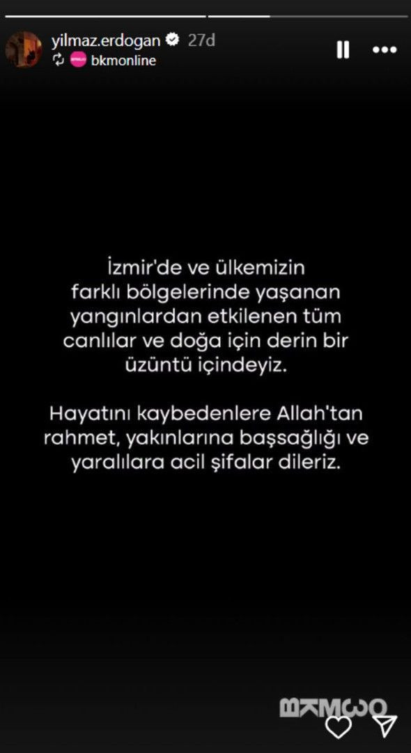 Ünlüler orman yangınlarına isyan etti - Resim: 20