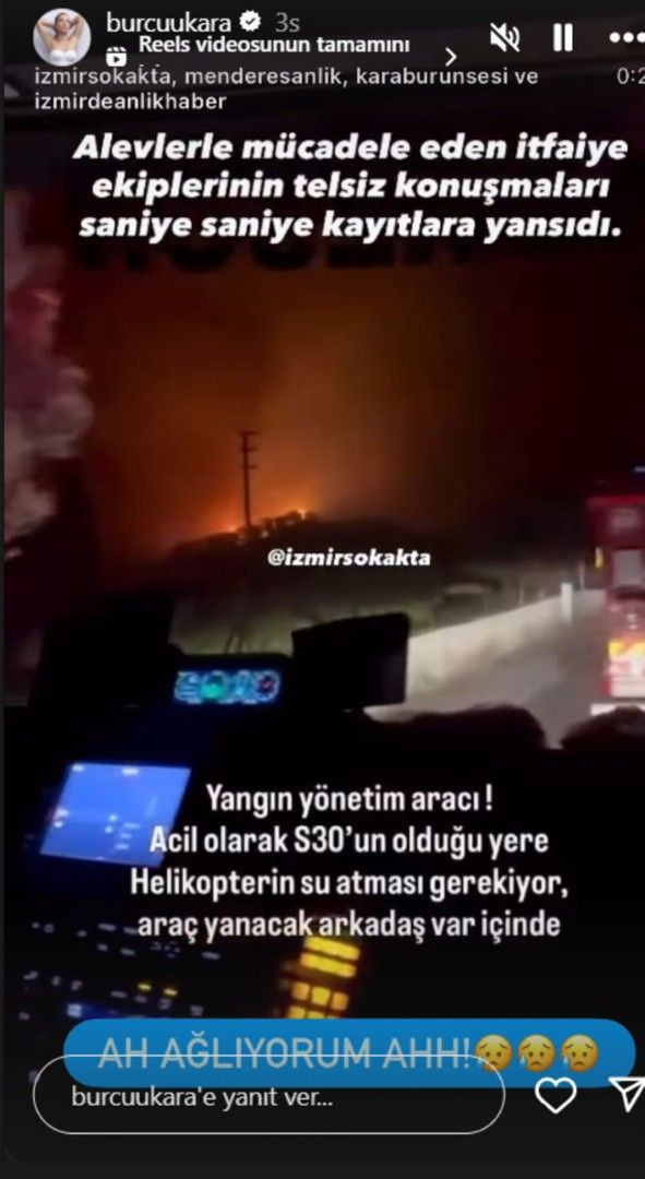 Ünlüler orman yangınlarına isyan etti - Resim: 10