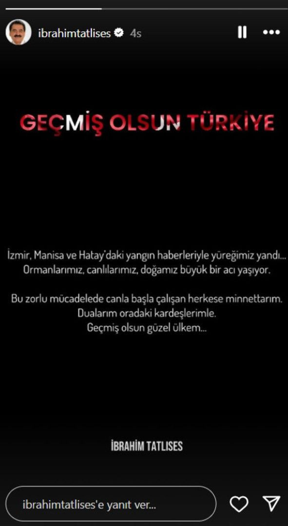 Ünlüler orman yangınlarına isyan etti - Resim: 16