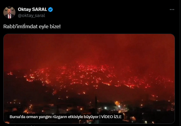 Saray'dan yangın açıklamaları: 'İmdat', 'Dayanışma sergileyelim' - Resim : 1