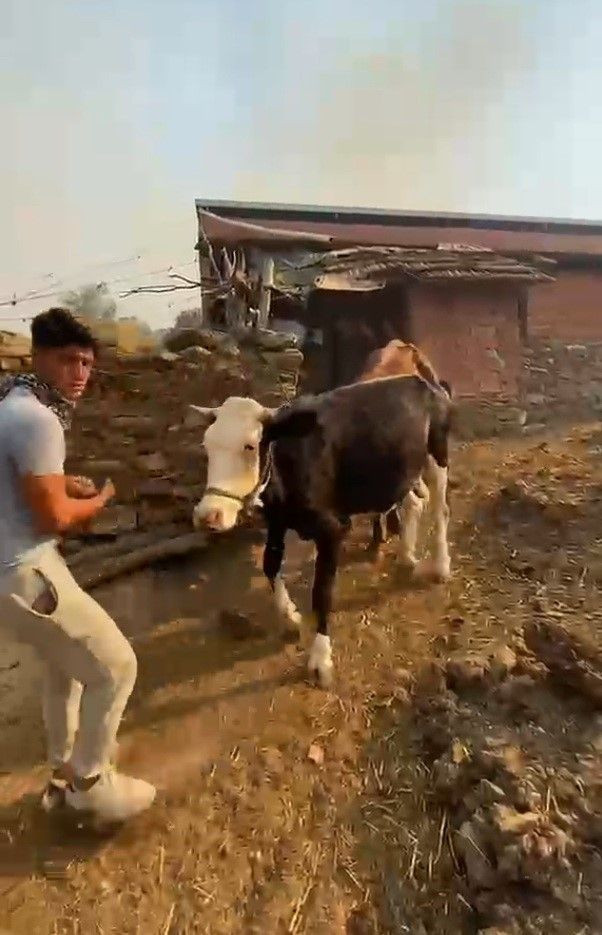 Aydın'da büyük yangın: 8 saatin sonunda kontrol altına alındı - Resim: 12