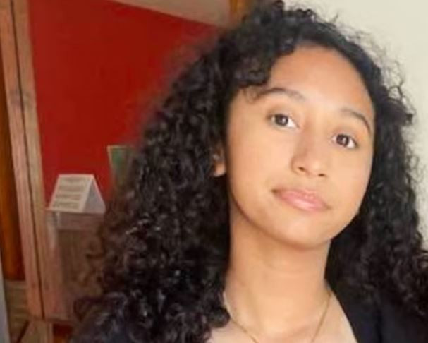 Aylarca kayıptı, cesedi Tesla'dan çıktı: Ünlü şarkıcı baş şüpheli ilan edildi - Resim : 2