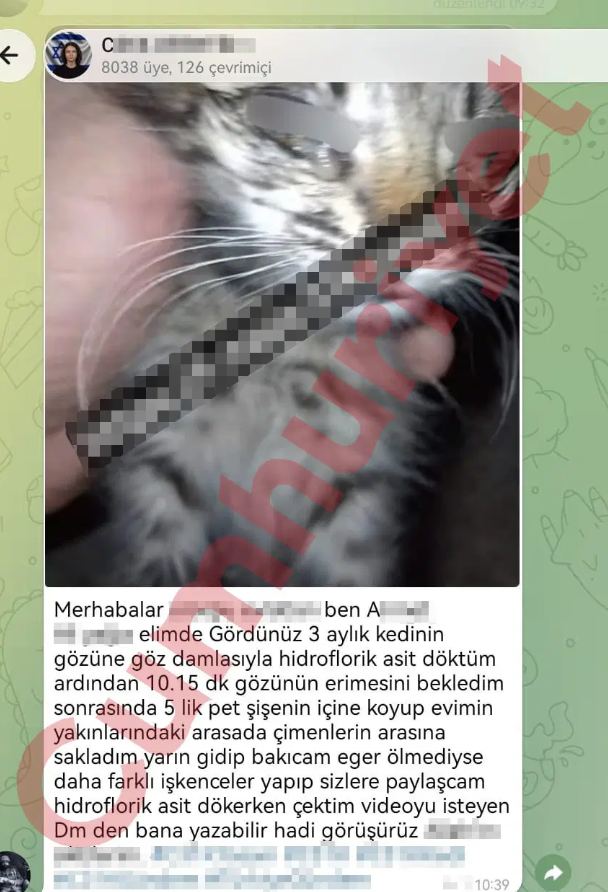 Telegram’daki dehşet ağında skandal mesajlar - Resim : 2
