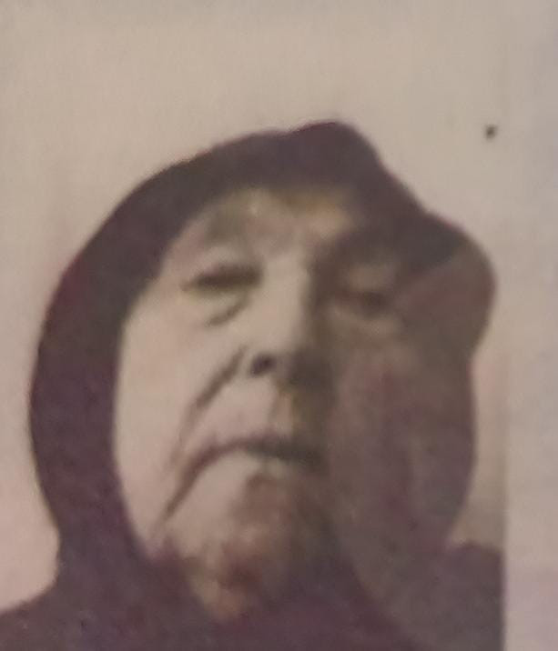 Yaşlı kadın ormanda kayboldu - Resim : 1