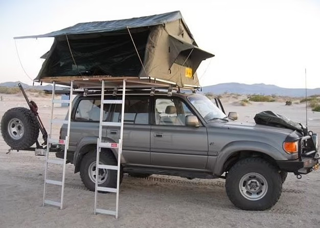 Vahşi doğa için servet harcamıştı: Aslan, zengin iş insanını yedi - Resim : 1