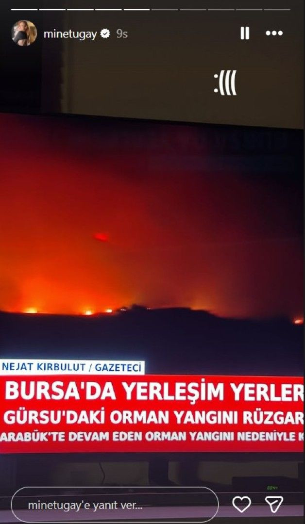 Orman yangınları yüreklere ateş düşürdü: Ünlü isimlerden yangın paylaşımı - Resim: 19