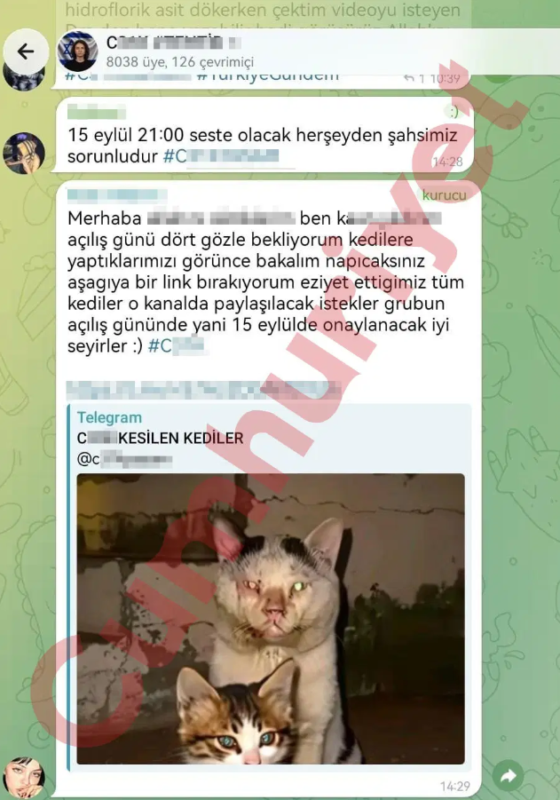 Telegram’daki dehşet ağında skandal mesajlar - Resim : 4