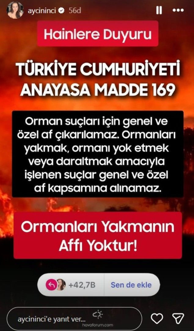 Orman yangınları yüreklere ateş düşürdü: Ünlü isimlerden yangın paylaşımı - Resim: 12