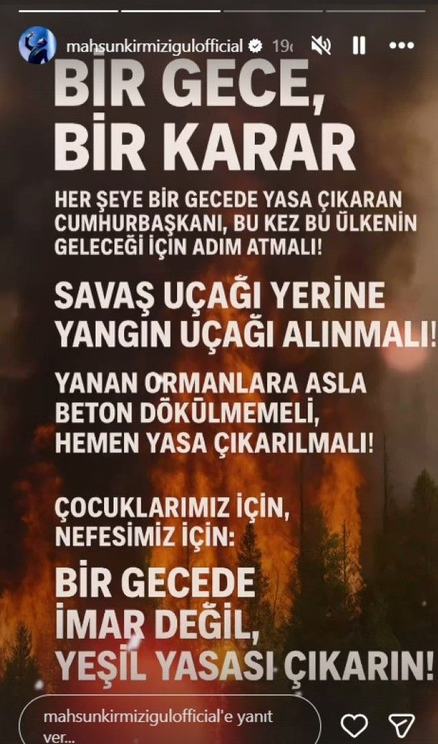 Orman yangınları yüreklere ateş düşürdü: Ünlü isimlerden yangın paylaşımı - Resim: 4