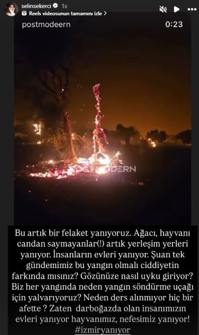 Ünlüler orman yangınlarına isyan etti - Resim: 1