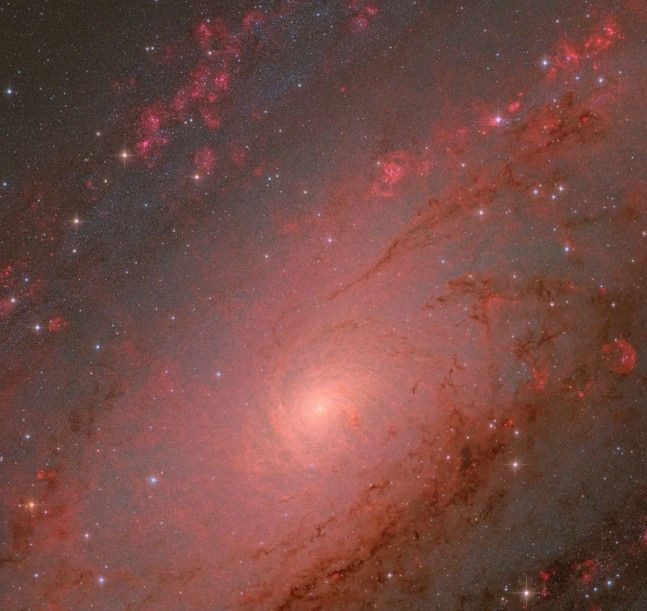 'ZWO Yılın Astronomi Fotoğrafçısı' yarışmasının kazananları açıklandı - Resim: 1