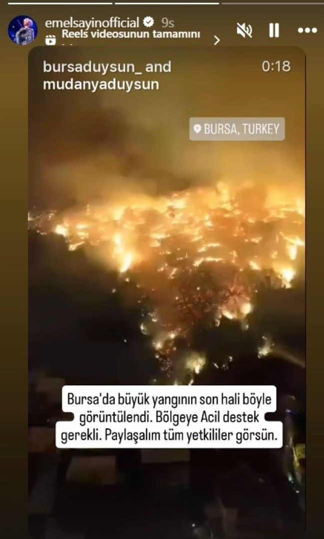 Orman yangınları yüreklere ateş düşürdü: Ünlü isimlerden yangın paylaşımı - Resim: 6