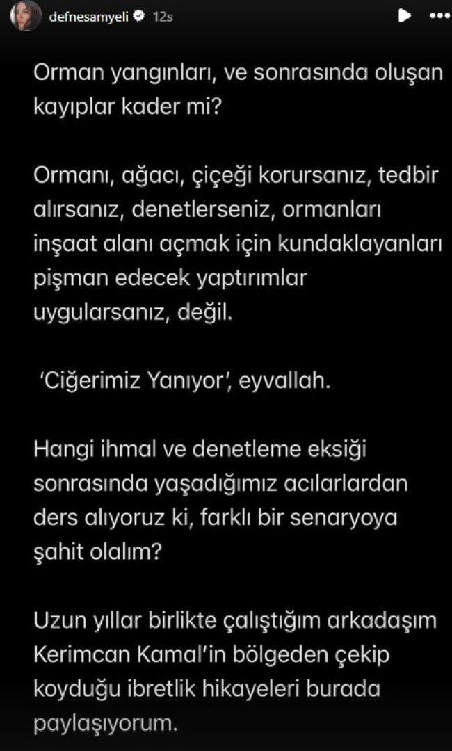 Ünlüler orman yangınlarına isyan etti - Resim: 7
