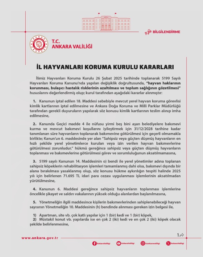 Ankara'da yeni kararlar: Sahiplenebileceğiniz kedi - köpek sayısı kısıtlandı - Resim : 1