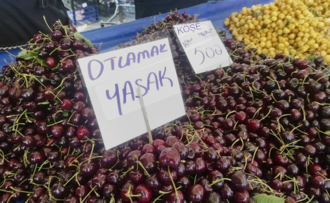Akıl Tutulması Günlüklerinde bu hafta - Resim : 1