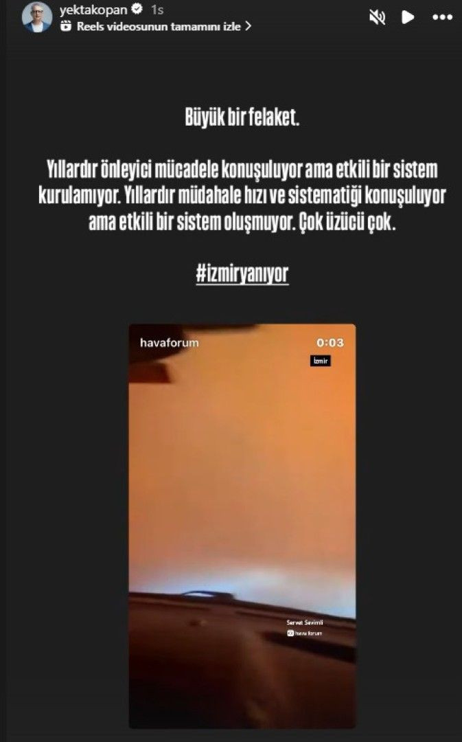 Ünlüler orman yangınlarına isyan etti - Resim: 3