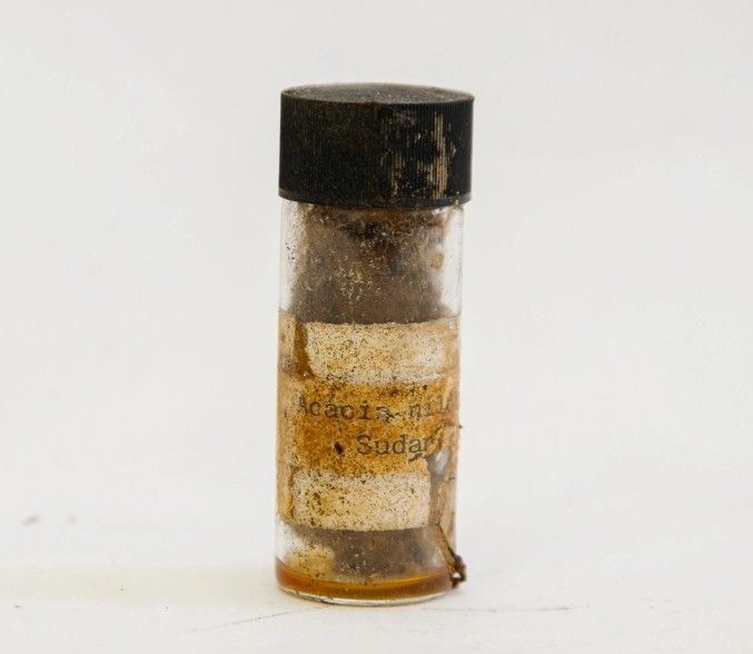 Prenses Diana'nın zaman kapsülü 34 yıl sonra açıldı: Neler çıktı neler... - Resim: 8