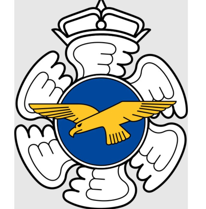 Finlandiya'dan bayrağa ayar: 100 yıl sonra kaldırılıyor - Resim : 1