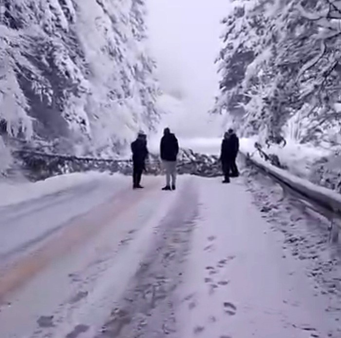 Kar hayatı fel&ccedil; etti: Ağa&ccedil;lar devrildi, ara&ccedil;lar kaza yaptı - Resim : 1