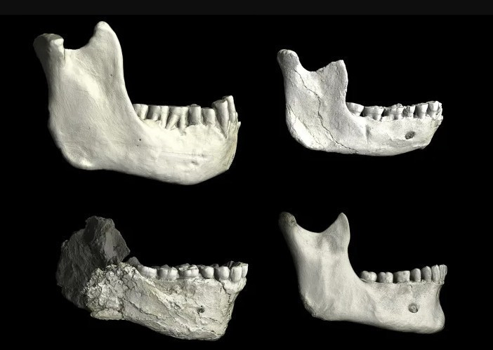 Tam 773 bin yıllık! İnsanlığın 'kayıp halkası'na ait izler bulundu - Resim : 1