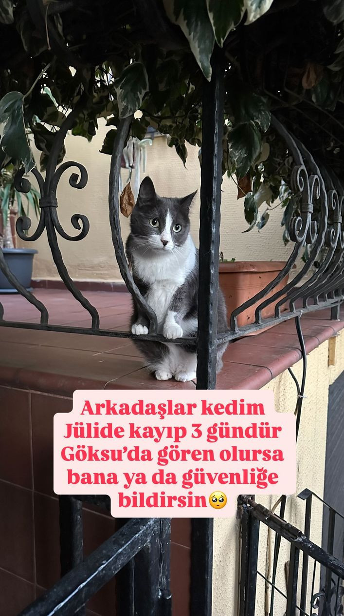Melek Mosso takipçilerinden yardım istedi: “3 gündür kayıp” - Resim : 1