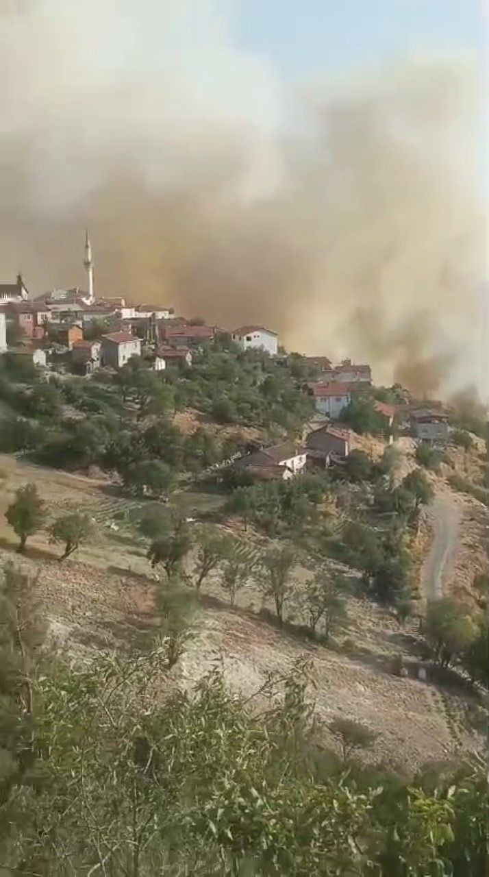Bursa-Balıkesir sınırında orman yangını - Resim: 2