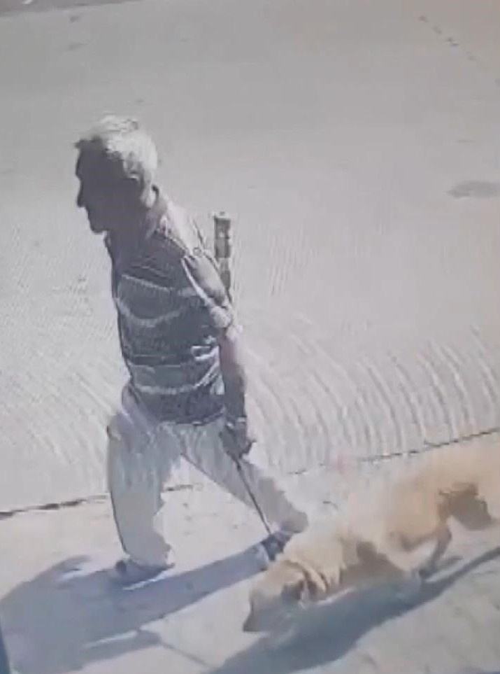 Köpeğe cinsel saldırının 'cezası': 1 yıl 6 ay hapis ve 30 bin TL - Resim : 1
