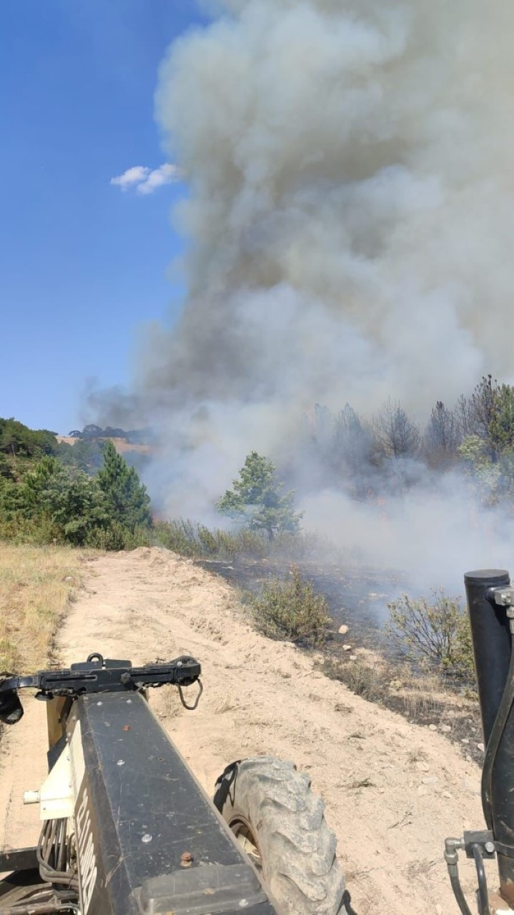 Balıkesir'de orman yangını - Resim : 2