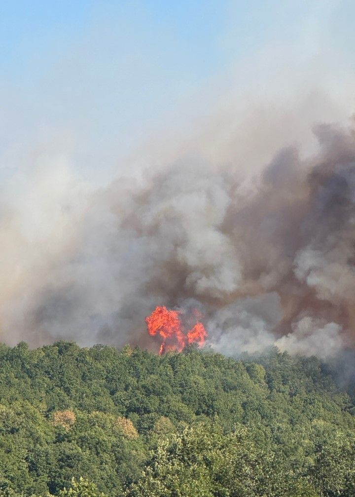 Kocaeli'de çıkan orman yangınına müdahale ediliyor - Resim: 1
